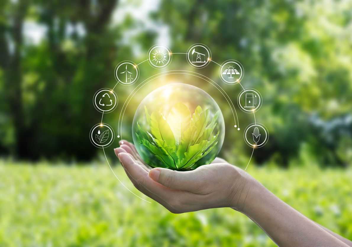 Energy and Carbon Policy