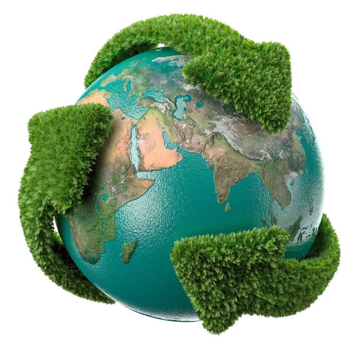 Environmental Policy