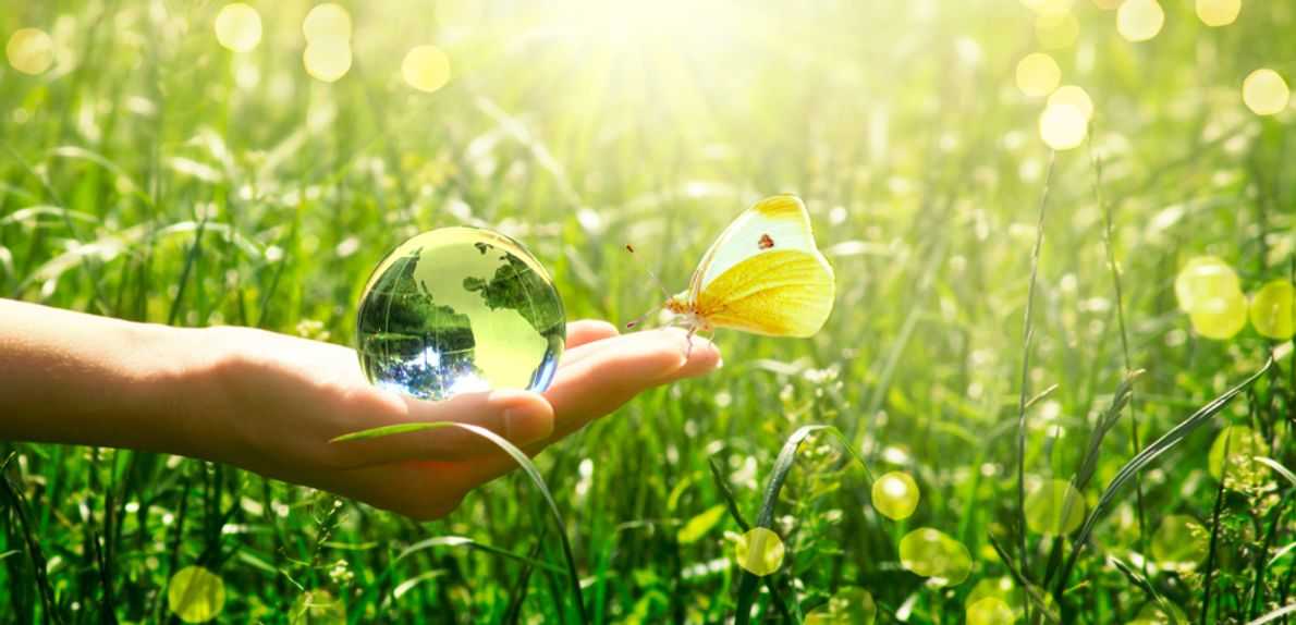 VOC-free & CMR-free applications