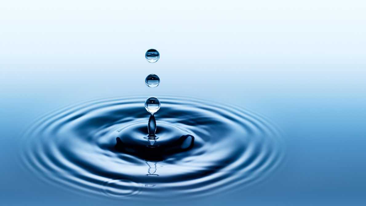 Water-dilutable Coatings & Lacquers